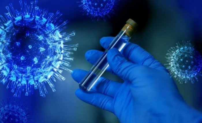 Ученые установили причину патогенности коронавируса для человека